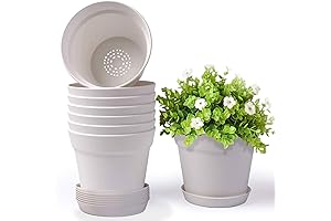 The Ultimate Planter Haven: Homenote Pots for Plants with Drainage Holes and Tray