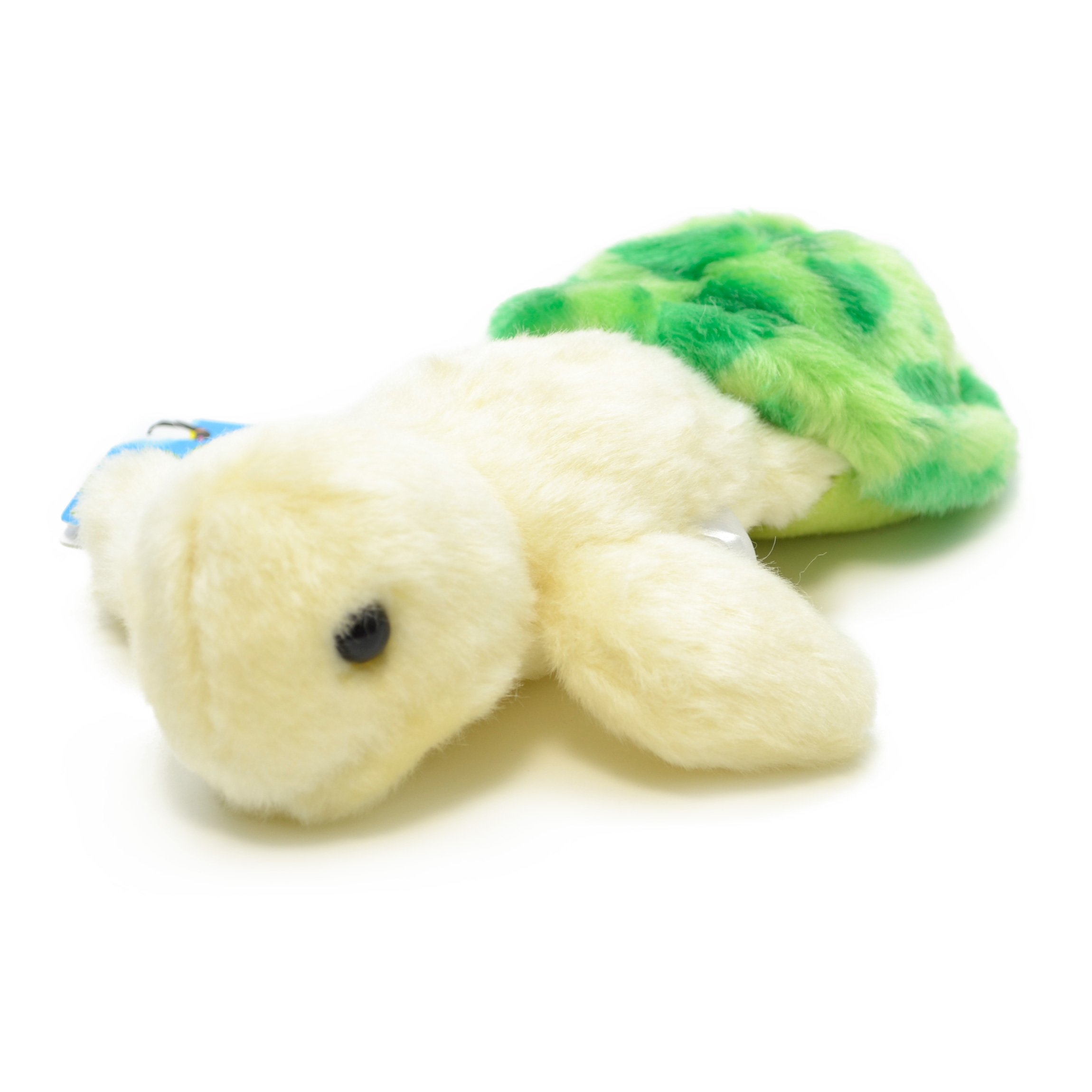 Amazon.co.jp: AQUA ぬいぐるみ マリン カメのノブユキくん S グリーン