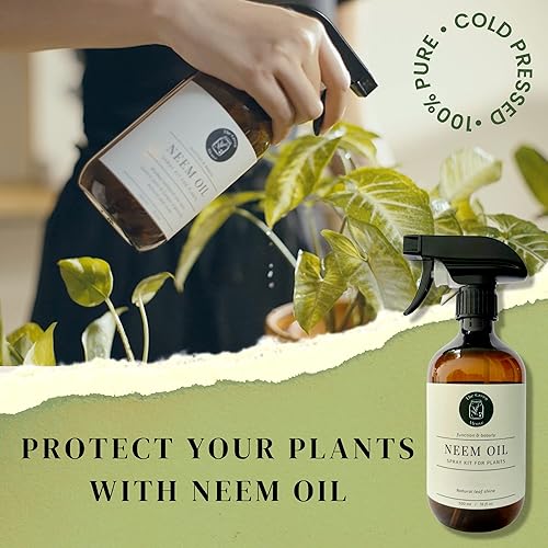 Miniatura 7 de Recambio de aceite de neem para plantas  Aceite de neem para jardín interior y exterior  5 sobres de aceite de neem 100% puro prensado en frío, hace