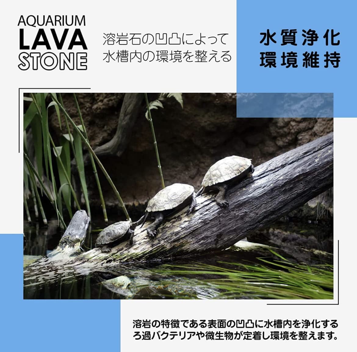 Amazon | アクアリウム 溶岩石 薄型 プレート 多孔質 ウィローモス