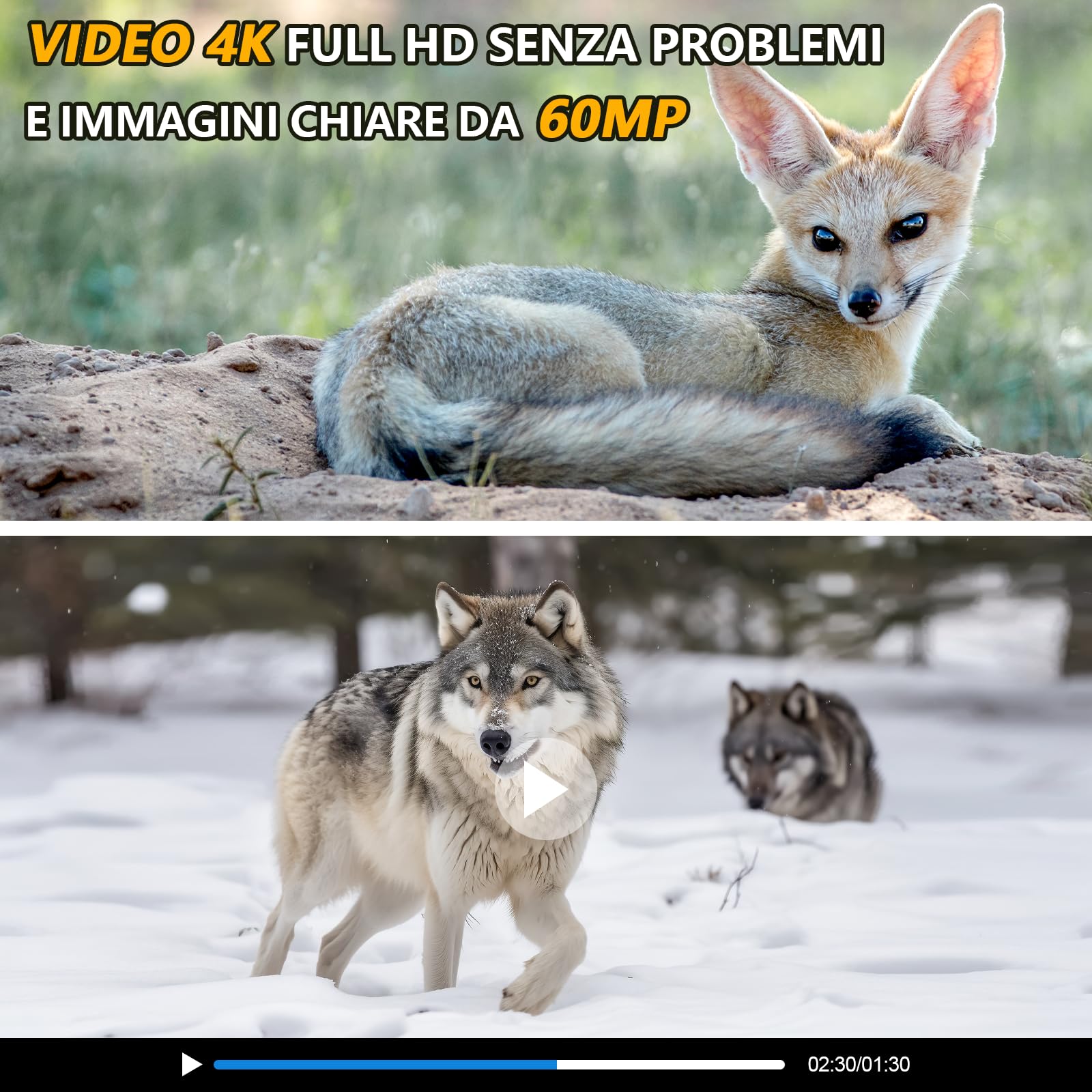 Fototrappola WiFi, 4K Fotocamera Caccia 60MP, 32GB Fototrappola Notturna con IR Visione 120 Fototrappole Infrarossi Invisibili Trappola di Sorveglianza con LCD 2.0" per Animali Movimento Attivato