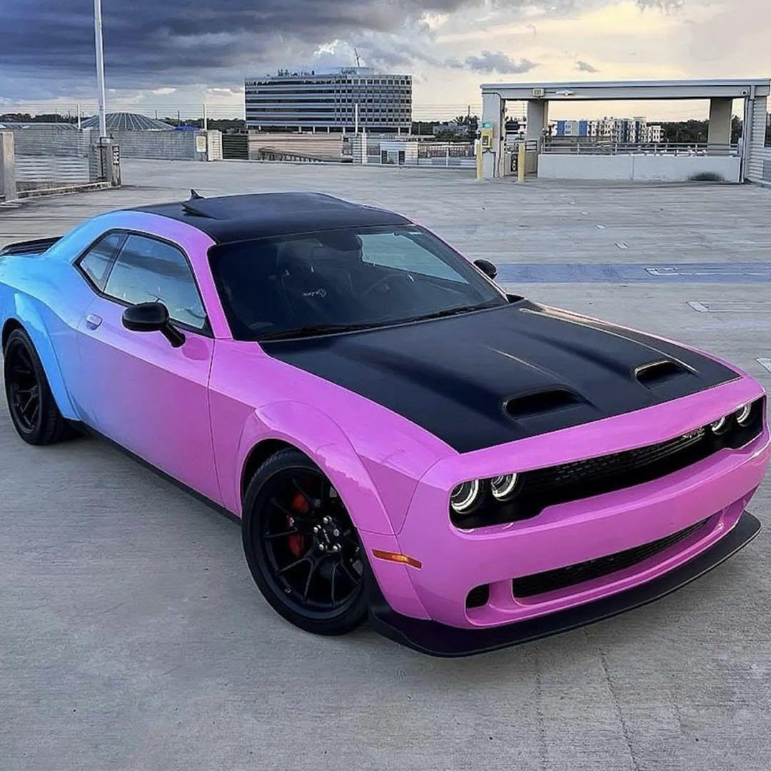 日本未発売】PINK SLIPS ダッジチャレンジャー 1:24 【公式通販】