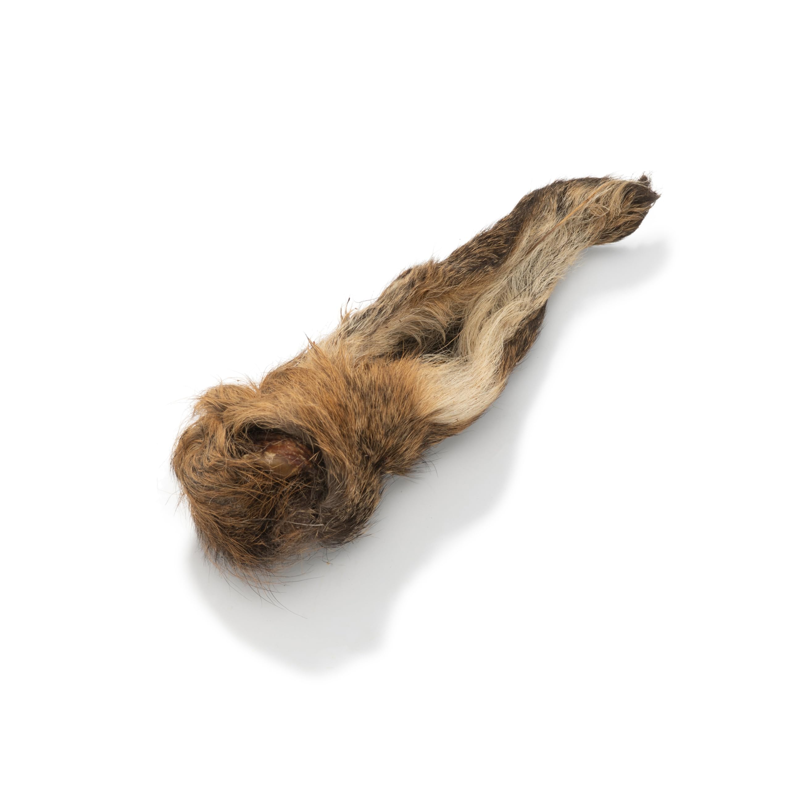 Natural Treats Small Hairy Venison Ears for Dogs (500g) 100% Venison Natural Hypo-Allergenic Grain Free Dog Chew Treats