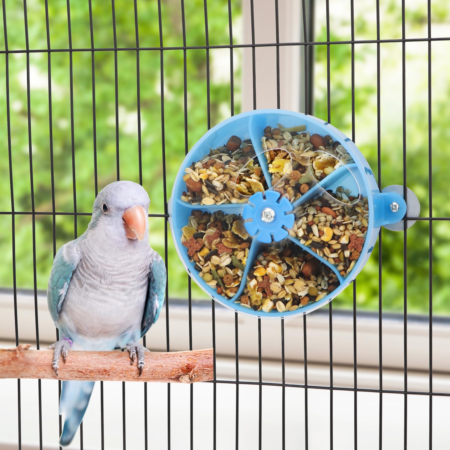 Hypeety Parrot Foraging Feeder Wheel Gnawed Toy Food Box Bird Food Basket Creative Foraging System for Parrot Conure Cockatoo Training Feeder Toy - image 7