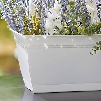 Etrarium 1st Anniversary 記念 BOX【PLANT】 Etrarium 1st