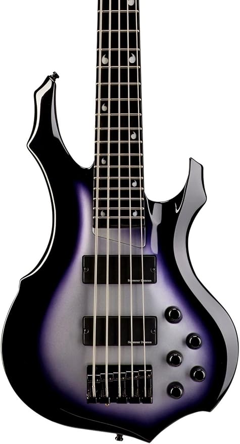Amazon.com: ESP e-ii Doris yeh-d5 5 cuerdas bass Guitarra púrpura plateado  Sunburst : Instrumentos Musicales