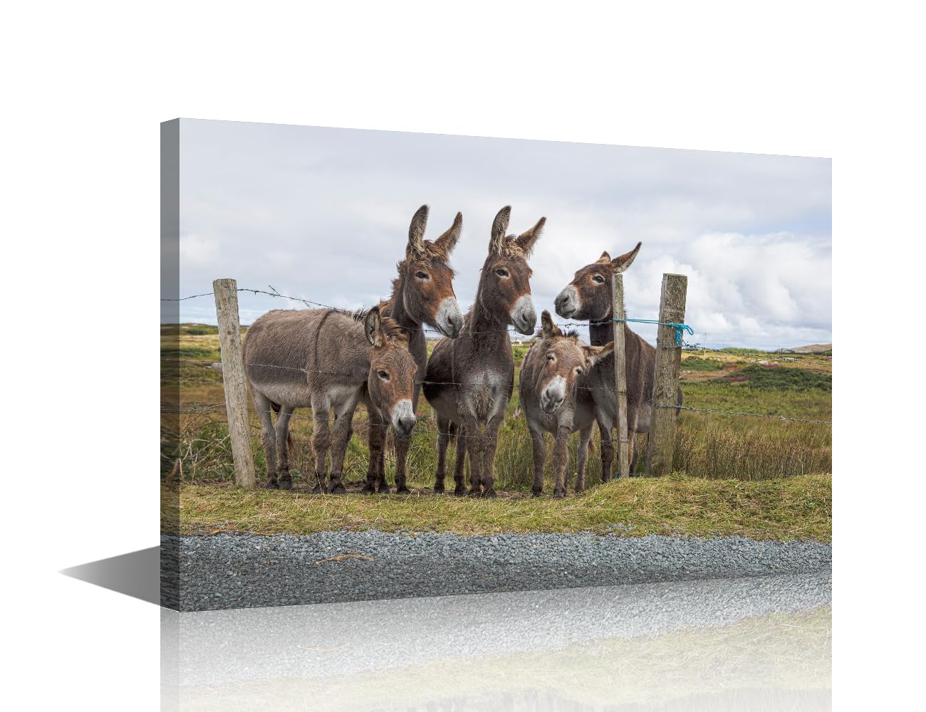 TISHIRON Donkeys In The Countryside in Natural Winter Landscape Canvas Prints donkey group Pictures Wall Art Giclee Home Decorations for Living Room Stretched and Framed Photos Paintings 24x16 in