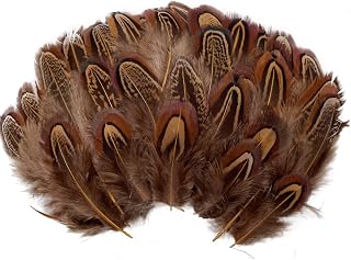 100pcs Brown Pheasant Feathers 2-3 Inches Fluffy Spotted Plumage Feather for Dream Catcher Crafts Sewing Clothing Decoration