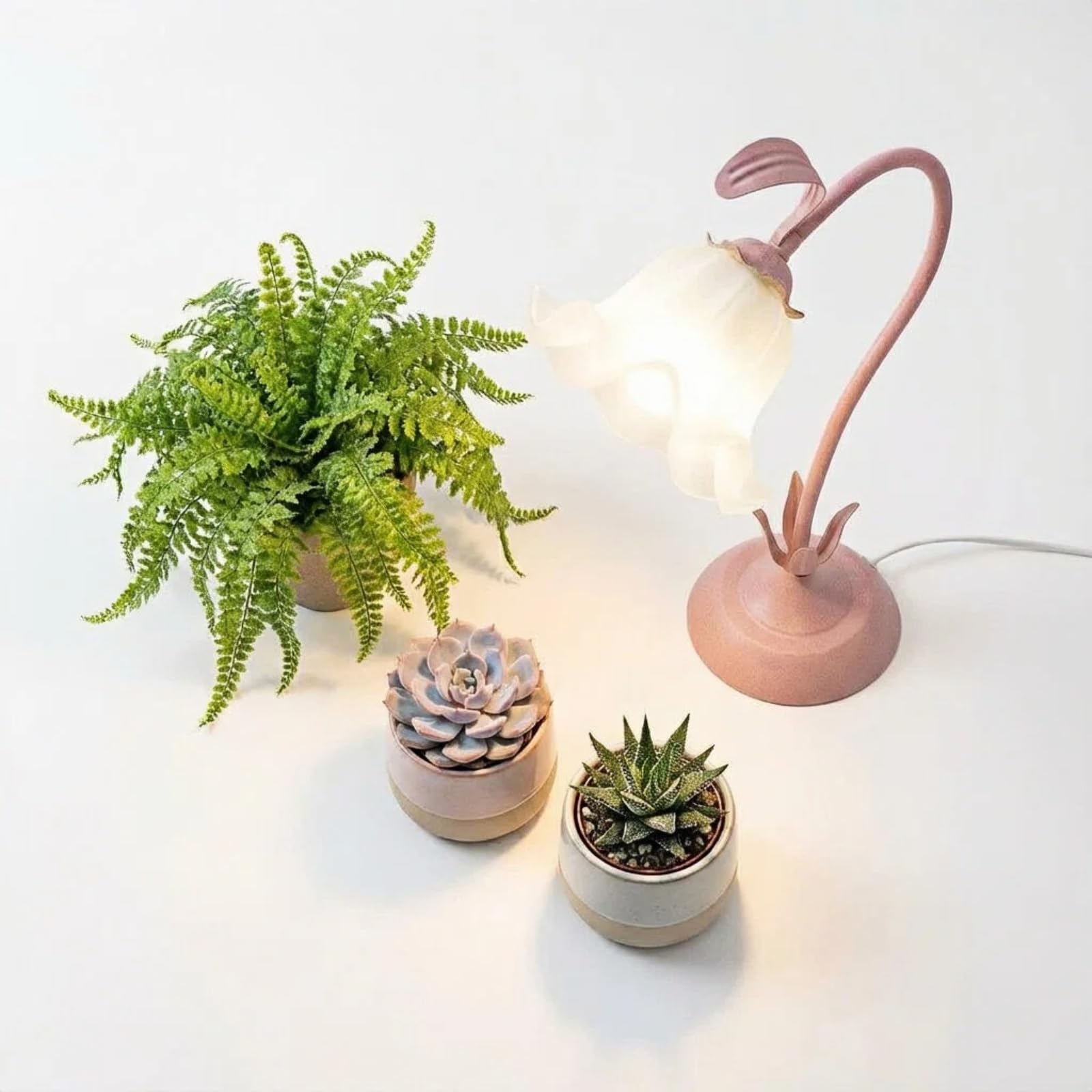 Amazon.com: Table Top Grow Light for Indoor Plants  Decorative Desk Plant  Light for Succulents Bonsai Cactus, Adjustable Desktop Grow Lights with  Base, Cute Office Mini Grow Lamp : Patio, Lawn &