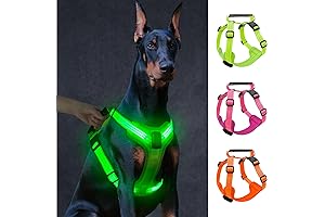 Light Up Dog Harness: Glow in the Dark and Pull-Free Night Walking
