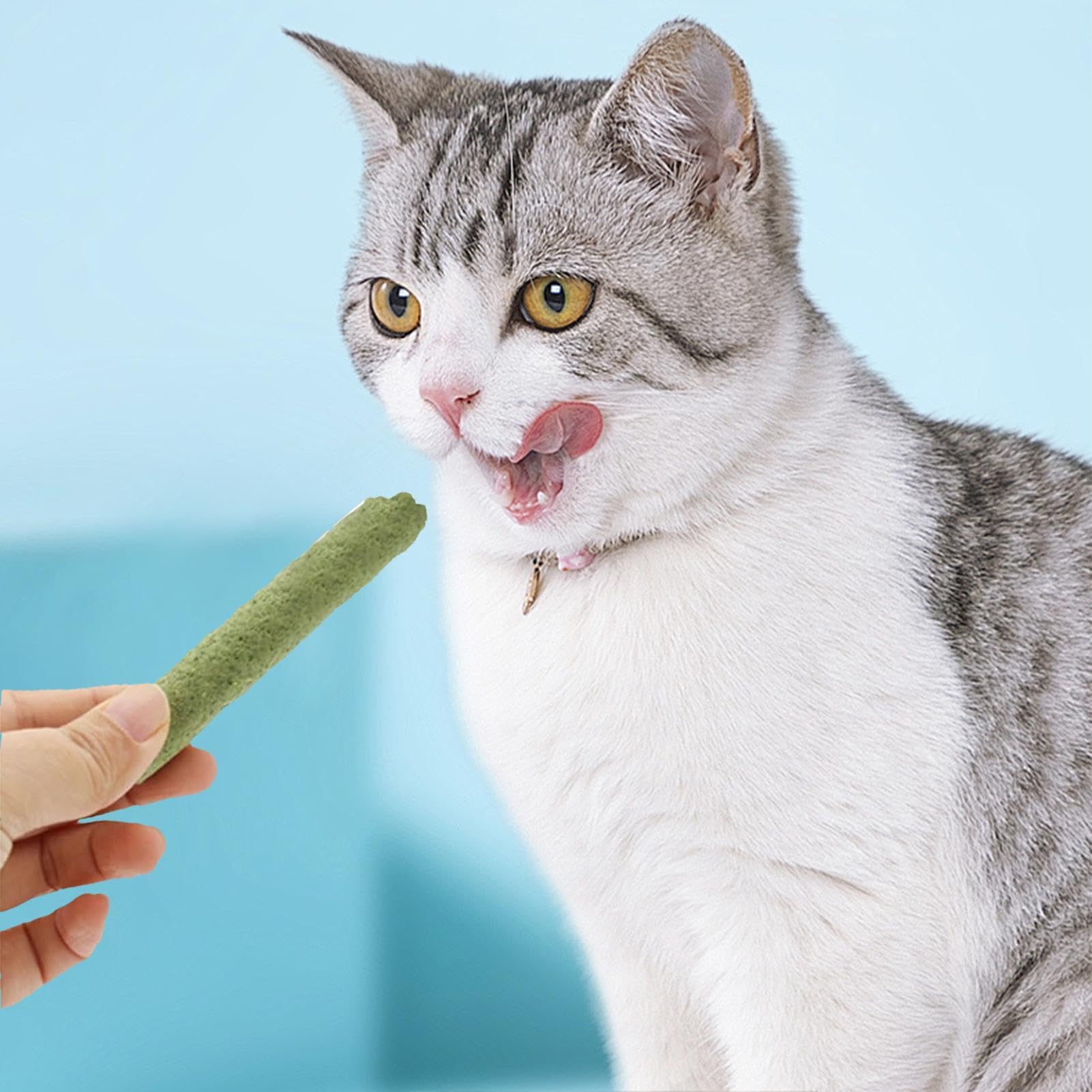 Kattengras Bijtstok, Kattengras Kauwstokjes, Kattentanden Schoonmaken Kattengras Stick Natuurgras Kies Staaf Voor Kat Binnen Voor Het Verwijderen Van Haarballen Cadenta Kattengras Bijtstok, Kattengras Kauwstokjes, Kattentanden Schoonmaken Kattengras Stick Natuurgras Kies Staaf Voor Kat Binnen Voor Het Verwijderen Van Haarballen Cadenta