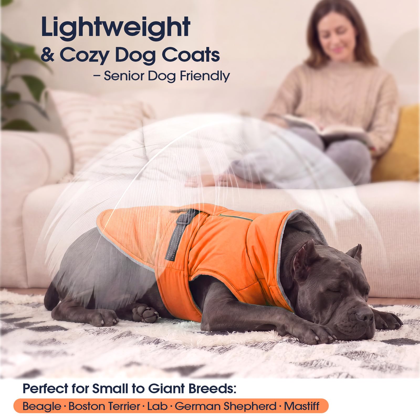 IECOii Manteau pour chien par temps froid, veste de neige réfléchissante, réglable et coupe-vent pour bouledogue français et corgi, gilet chaud imperméable avec doublure en polaire pour aventures en