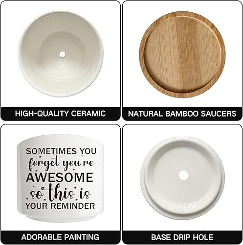 Miniatura 2 de Macetas de cactus suculentas con bandeja de bambú, decoración interior de oficina, cocina, hogar, ventana, regalo para amigos, mamá, mujeres