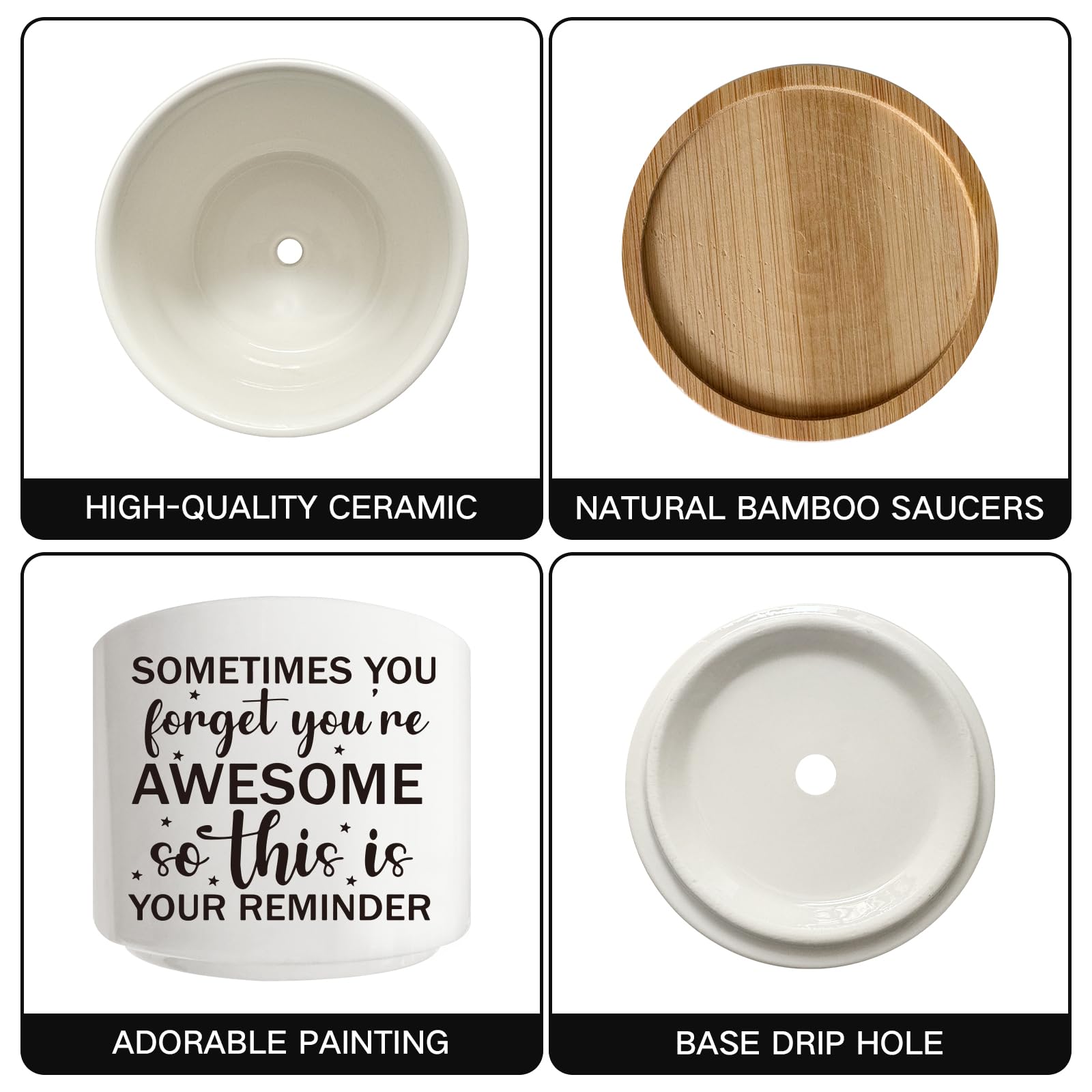Macetas de Cactus suculentas con Bandeja de bambú, decoración de Interiores, Regalo para Amigos, mamá, Mujeres, compañeros de Trabajo, Profesores, Amantes de Las Plantas