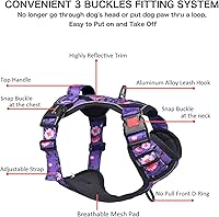 Vista 30 de Petmolico - Juego de arnés para perro sin tirones, 2 correas de sujeción con asa de fácil control, chaleco reflectante para razas pequeñas, arnés