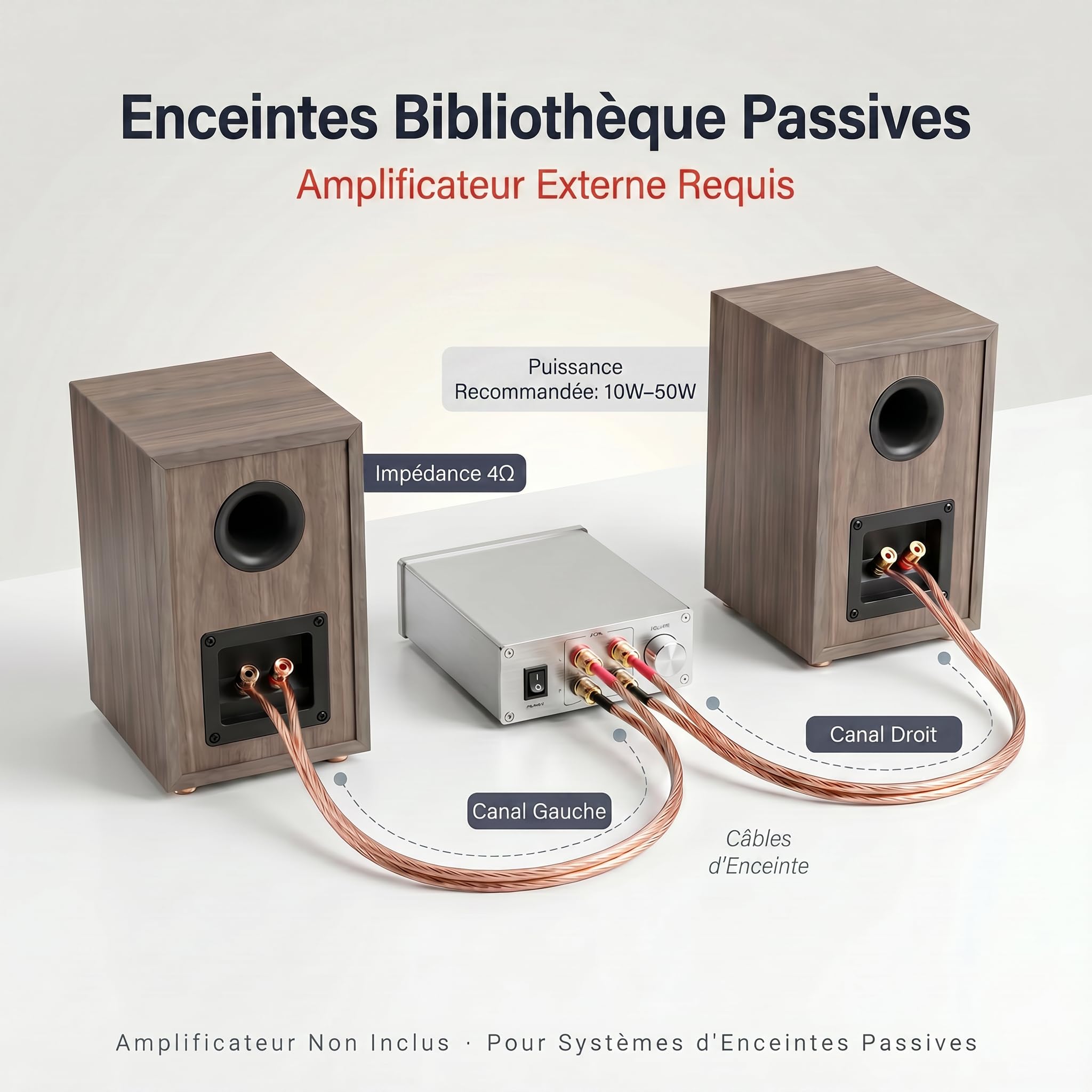 HiVi-Swans Oasis Enceinte Bibliothèque Passive, Enceinte Bass-Reflex 2 Voies avec Woofer 4 Pouces et Tweeter à Dôme 20 mm, 60 Hz–20 kHz, 4 Ω, 10–50 W, Enceinte Hi-FI Compacte pour la Maison
