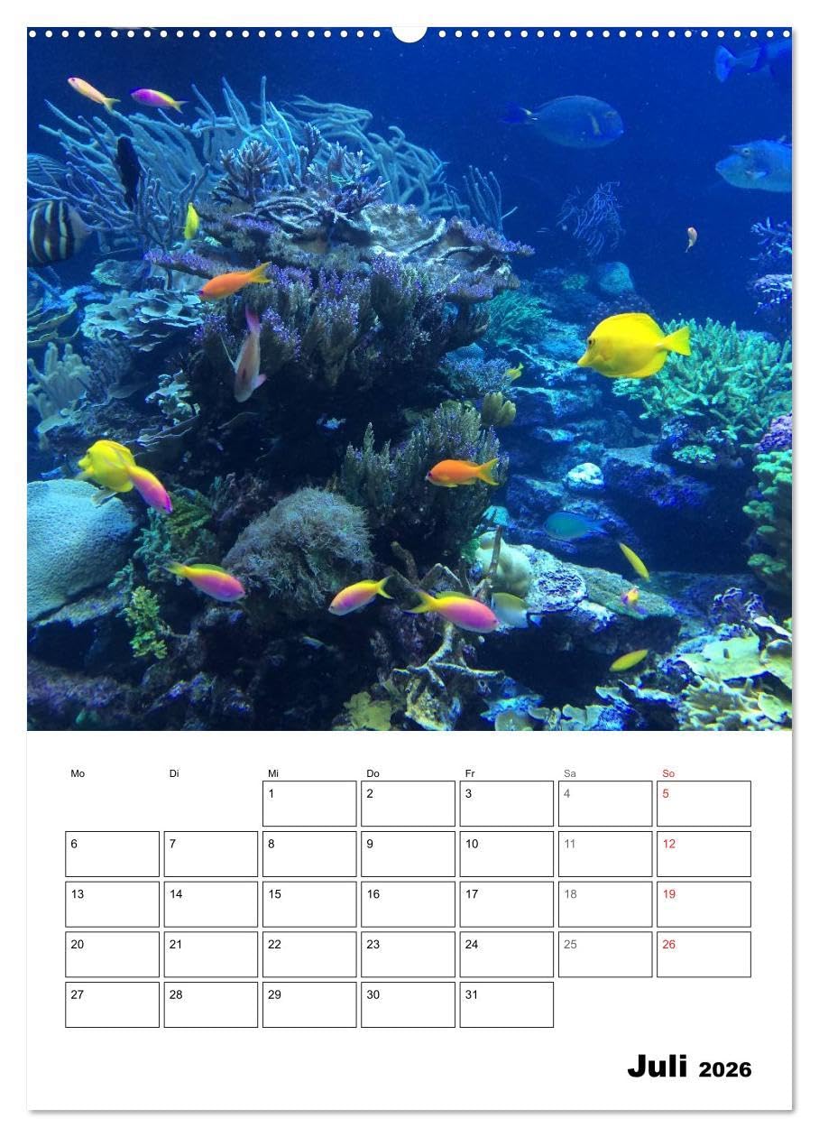 Tauchen - Abtauchen und Staunen (hochwertiger Premium Wandkalender 2026 DIN A2 hoch), Kunstdruck in Hochglanz: Abtauchen in die faszinierende Unterwasserwelt unserer Meere
