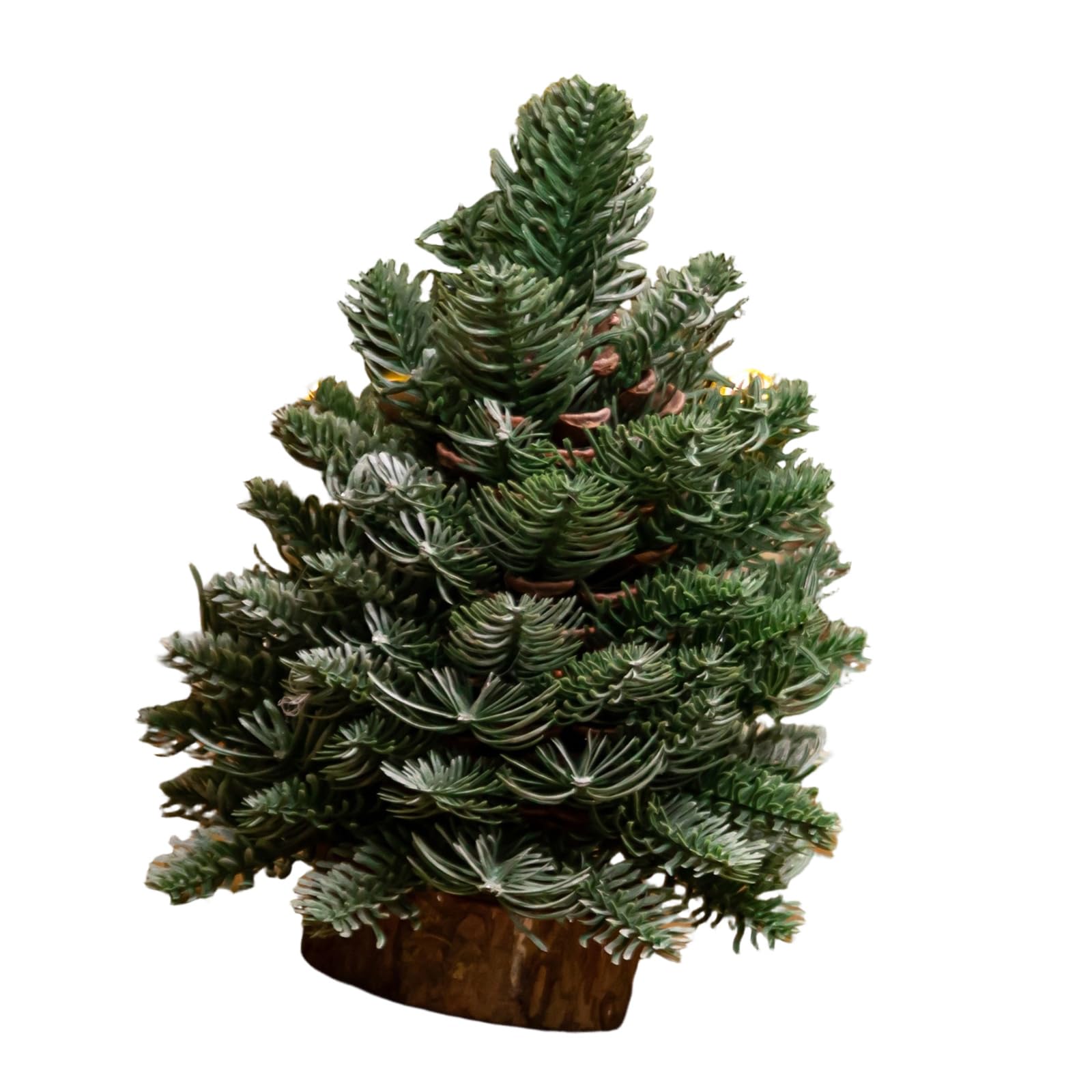 Carotoe D Miniature Faux Christmas Tree Ecoration Nordic Inspire Tabletop Holiday Tree For Esks Shelves An Holiday Tables Scandinavian Styles Centerpieces