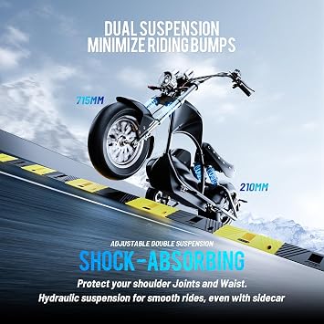 eAhora 2000W 37MPH M1P Sidecar Electric Motorcycle for Adults 60v 30ah 40+ Miles Long Range Electric Sidecar Full Suspension 2 Persons Scooter 3 Wheels Mopeds for Pets/Cargo
