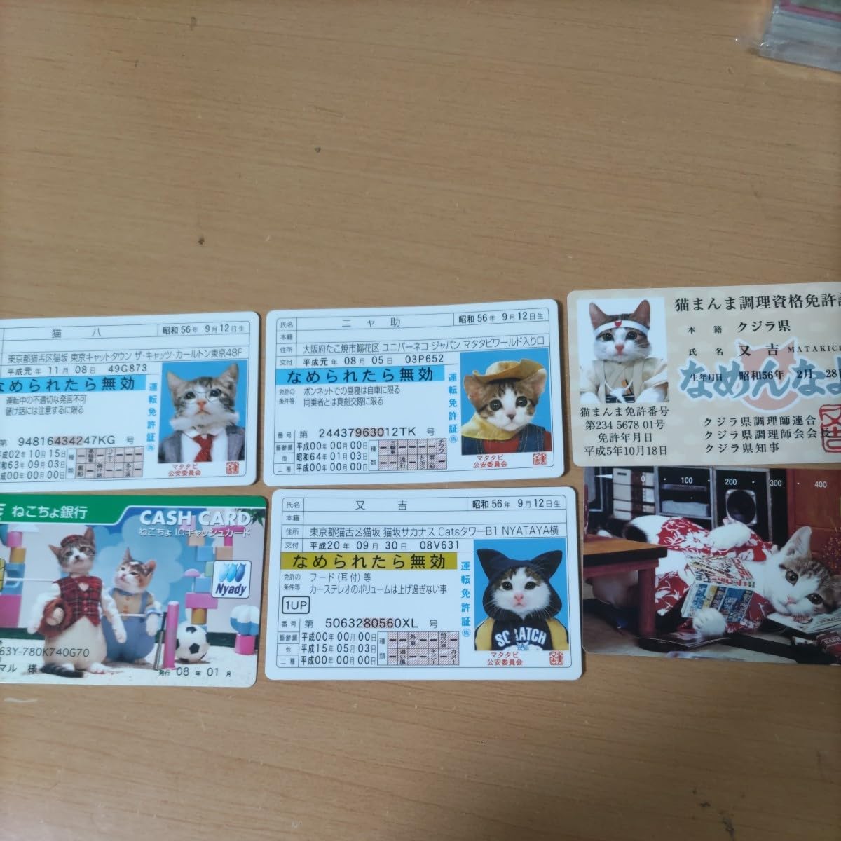 Amazon.co.jp: なめ猫 昭和レトロ カードコレクション 免許証 なめんな