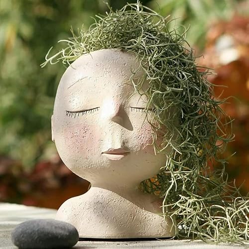 Macetas de cara con cabeza, macetas para suculentas, maceta suculenta de cara de dama, maceta de resina para cactus, bonita maceta para el hogar y