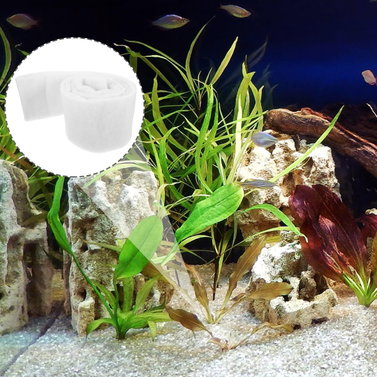 Biochemischer Filterscchwamm Für Aquarium – Ersatzschwamm, 7 Cm Durchmesser, Für Klares Wasser