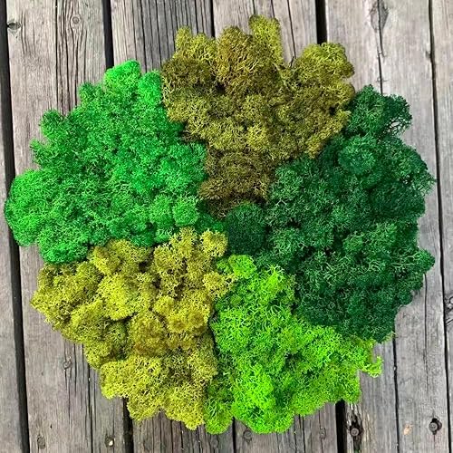 Miniatura 39 de Musgo de Reno Preservado Verde Natural Kit de Bricolaje Arte de Jardinería Decoración de Pared Decoración de Floristería Decoración de Mesa