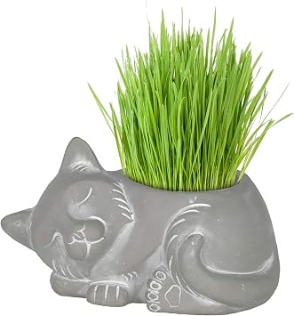 Classic Home and Garden Çimento Arkadaşları Drenaj Delikli İç Mekan Dış Mekan Saksısı, Uyuyan Kedi, Doğal Gri, Küçük, 7 inç