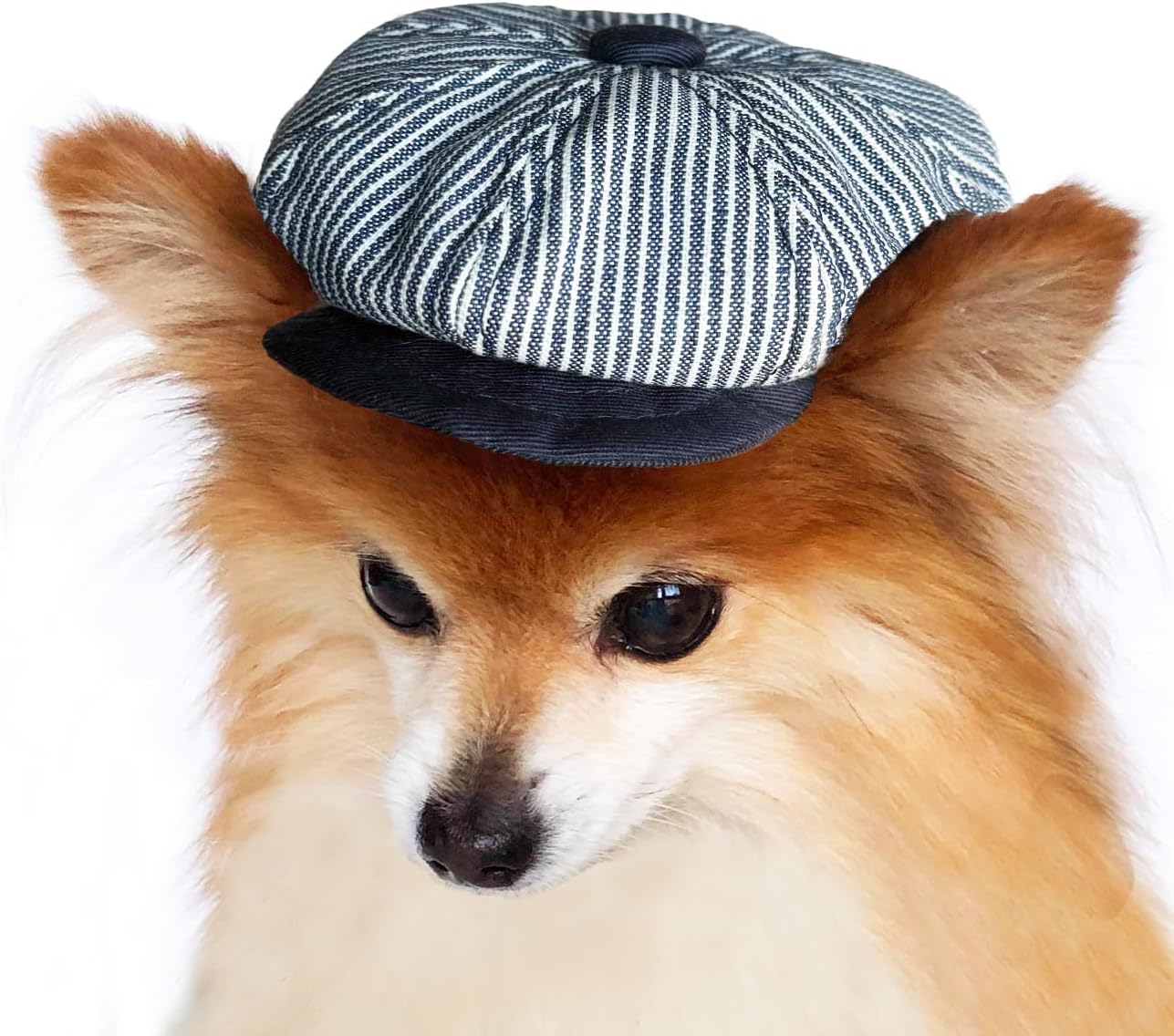 Handmade dog newsboy cap Beret for cats Flat caps for small dogs puppies (Small, Black Glen Check)