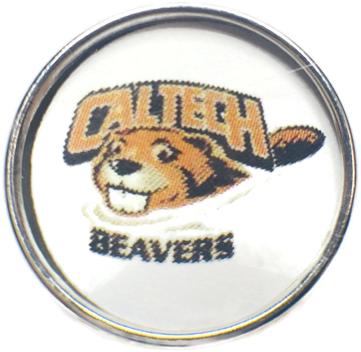 Snap Jewelry California Tech Cal Tech Beavers College Logo Fashion University Snap Charm