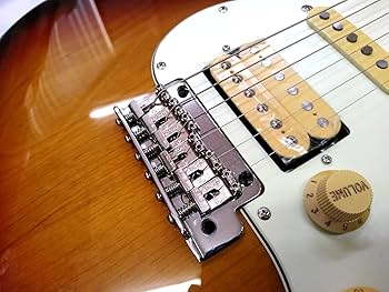 Amazon | 長期在庫品の為アウトレット フジゲン ストラトキャスター