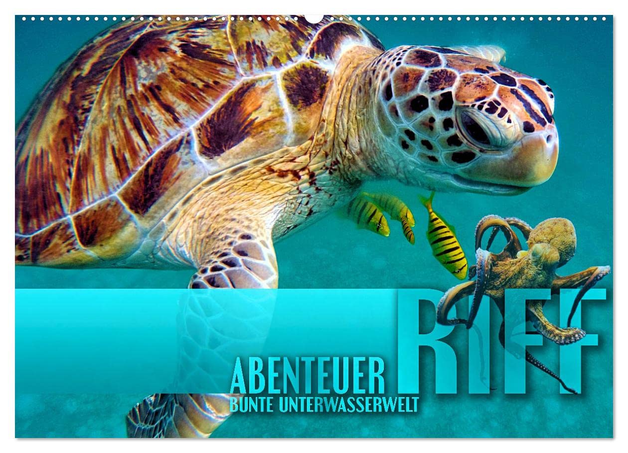 Abenteuer Riff - bunte Unterwasserwelt (Wandkalender 2026 DIN A2 quer), CALVENDO Monatskalender: Fantastische Unterwasseraufnahmen zeigen das ... Korallenriffen der Erde (CALVENDO Natur)
