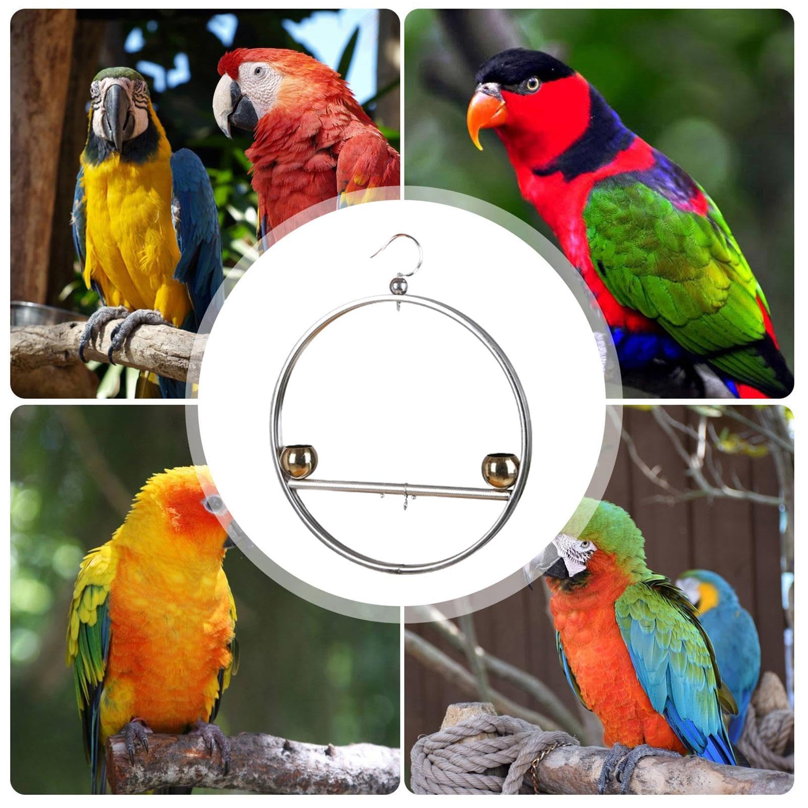 Supporto per uccelli in acciaio inox, altalena rotonda per pappagalli, supporto per pappagallo, supporto per altalena, design a doppia nappa, antiruggine, con gancio, per animali