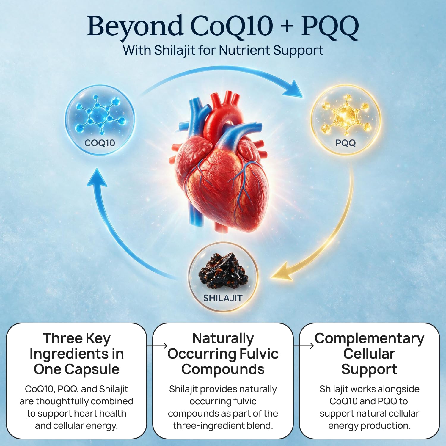 CardioClear7 - CoQ10 PQQ Heart Supplement - Shilajit Daily Wellness - 1 Pack — Amazon image 6