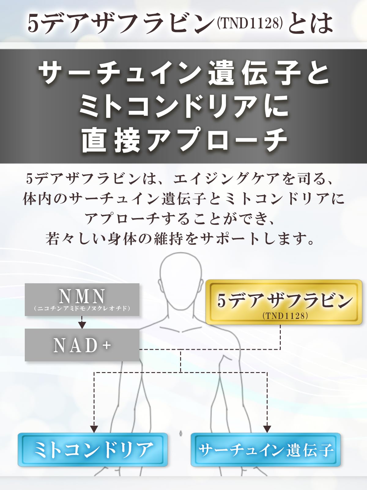 Amazon | フェリアラボ デアザプラス DEAZAPLUS 5デアザフラビン 