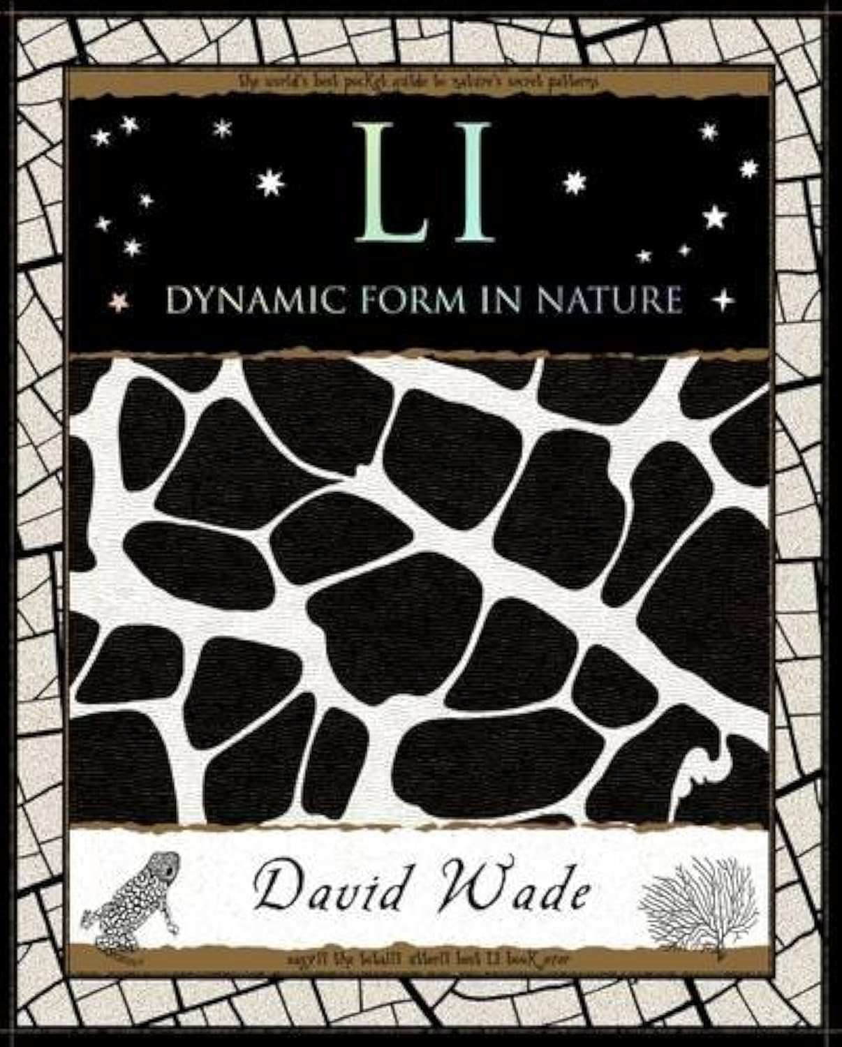 Li: Dynamic Form in Nature (Mathemagical Ancient Wizdom)