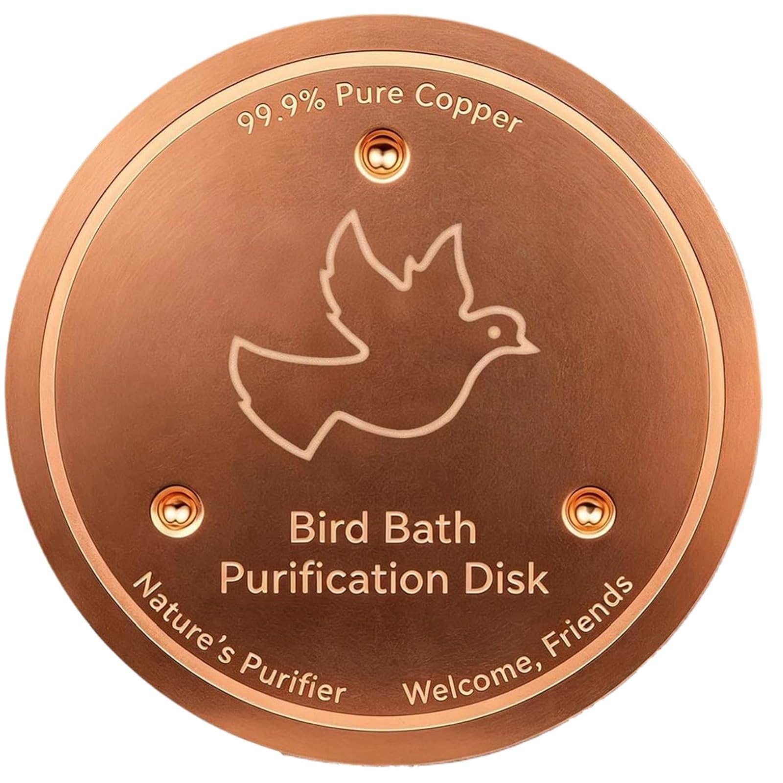 Copper Purification Disk for Bird Bath Clean – Self-Cleaning Design, Keeps Water Fresh Year-Round, Fits Outdoor Birdbaths, Bowls & Fountains – Garden Water Feature, Po-ol Purification tablets