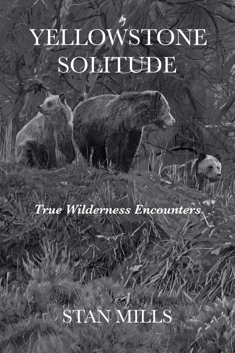 YELLOWSTONE SOLITUDE: True Wilderness Encounters
