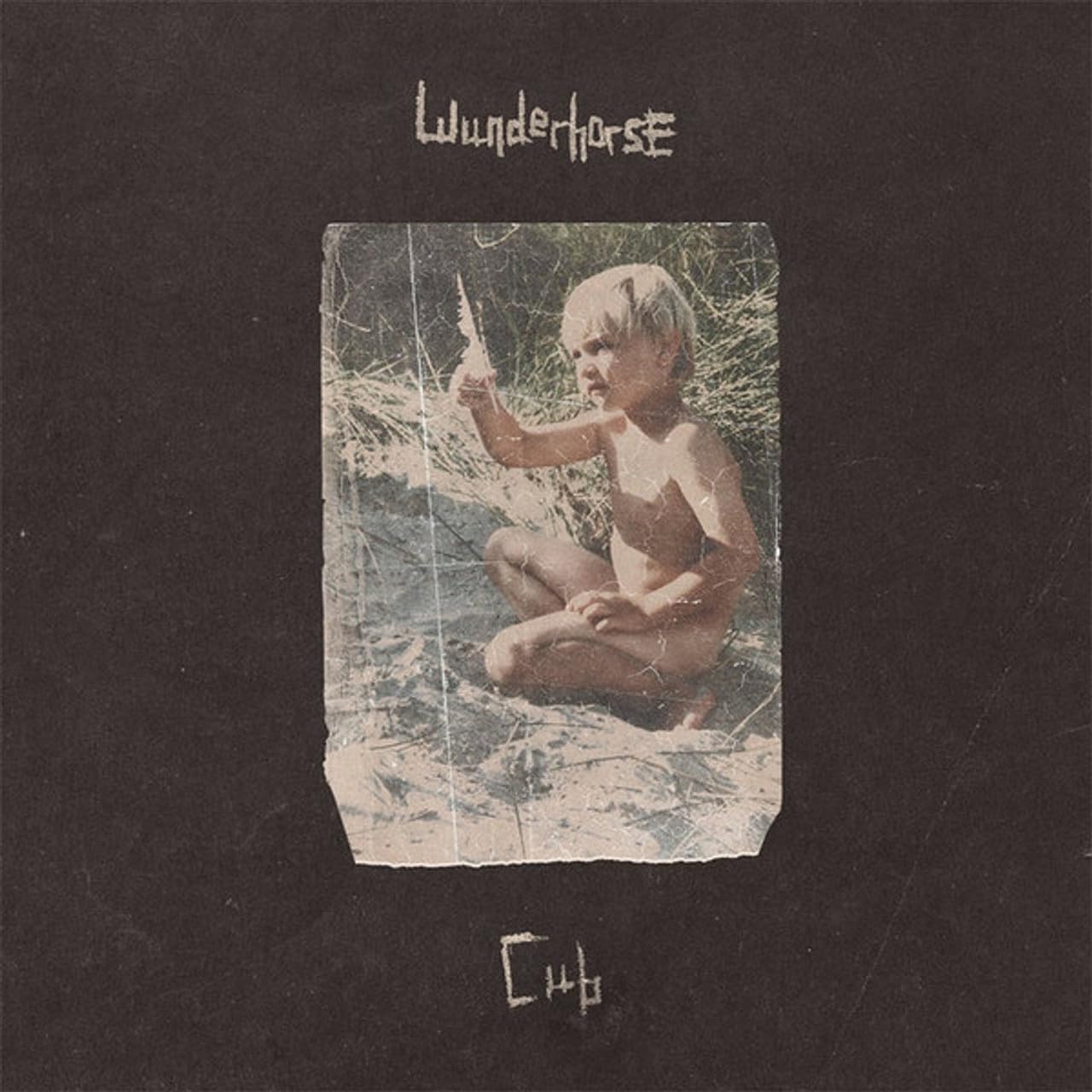 Wunderhorse | Cub | Vinyl LP - Clear - Exclusive Edition