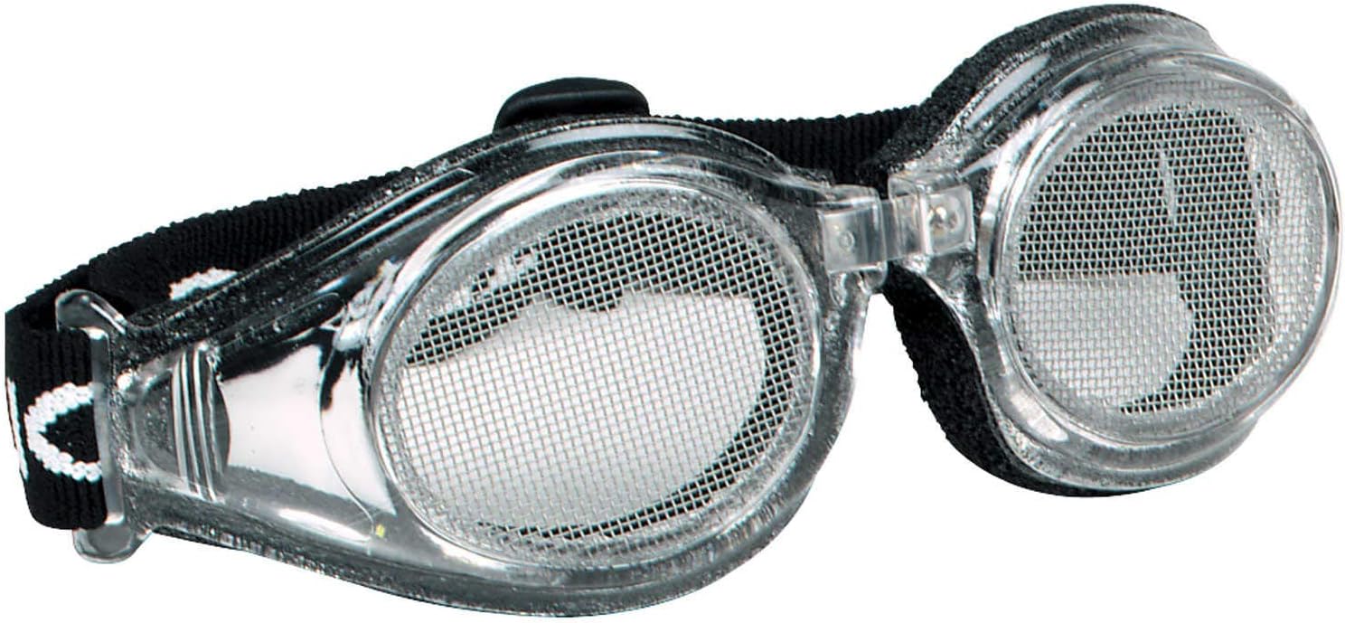 bugz ski goggles