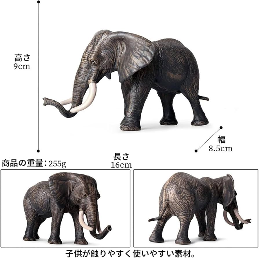 アフリカゾウの鼻のプラスティネーション標本 No.2 即納☆ アフリカゾウの鼻のプラスティネーション標本
