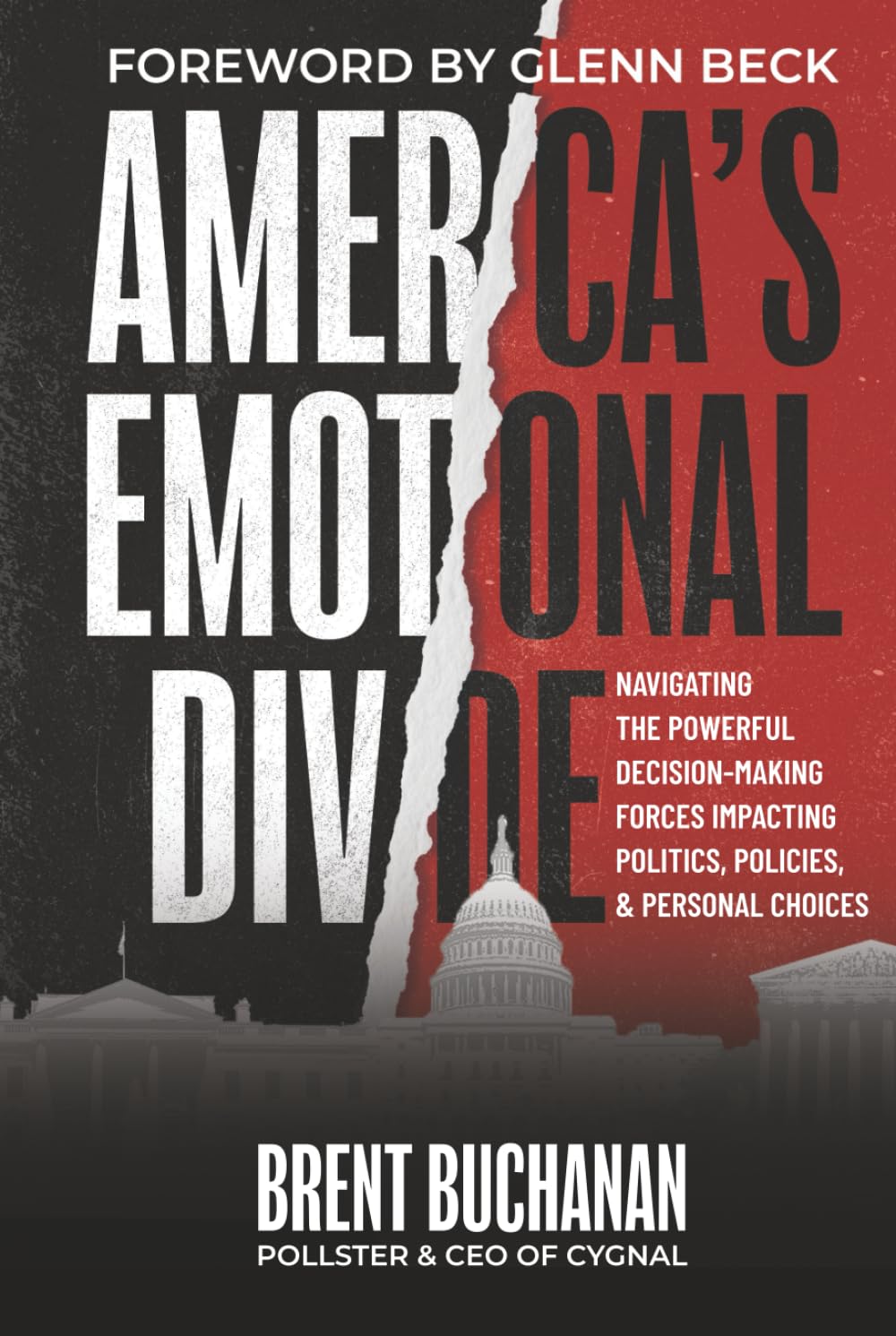 America's Emotional Divide: Navigating the Powerful Decision-Making Forces Impacting Politics, Policies & Personal Choices