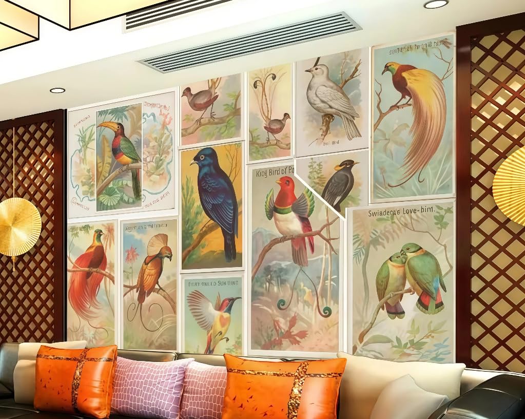 Papier peint mural 3D oiseau pour masquer un mur terne de salon