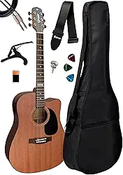 Violão Elétrico Giannini Gf1d Ws + Capa E Acessórios