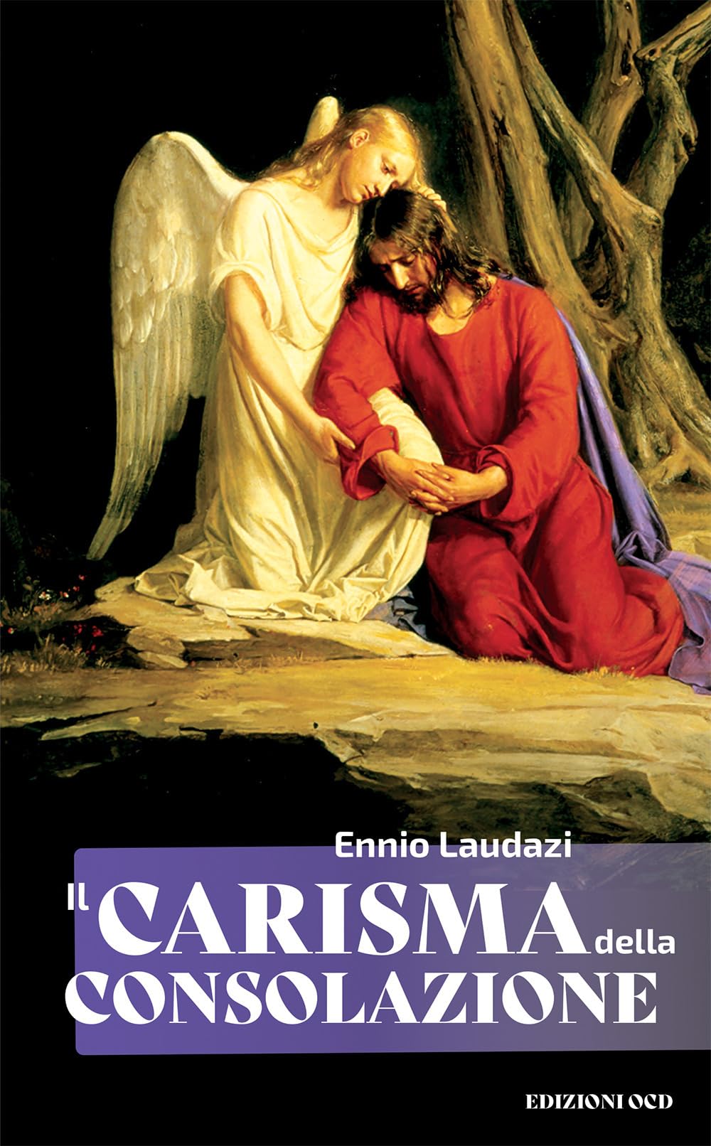 Il Carisma Della Consolazione - 4