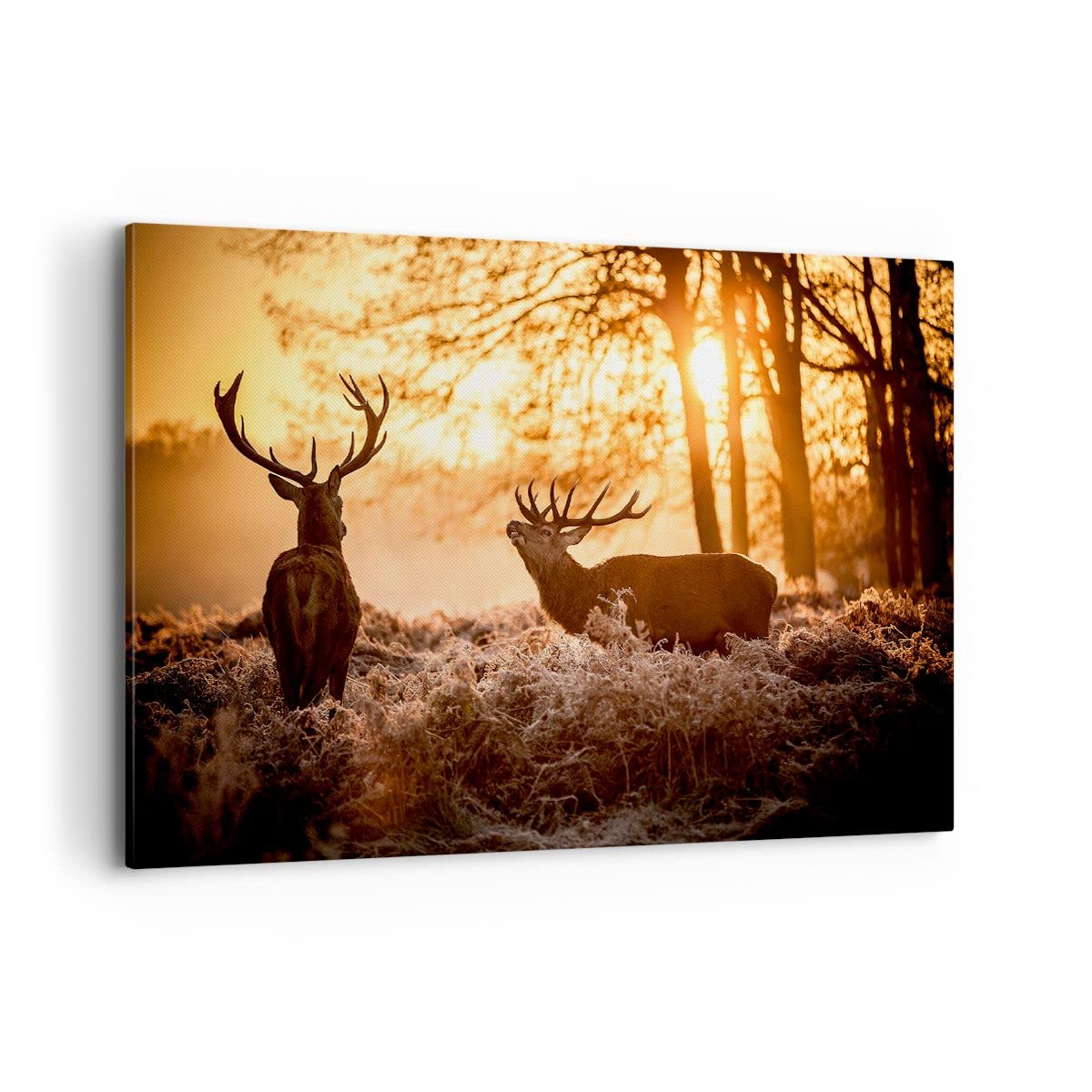 Cuadros Decoracion Salon Deer brezo animal Lienzos decorativos 120x80cm Cuadro Sobre Lienzo Moderno Dormitorio Cocina Cuadros Pared Imágenes Wall Art Prints Decor Canvas Grande XXL AA120x80-3043