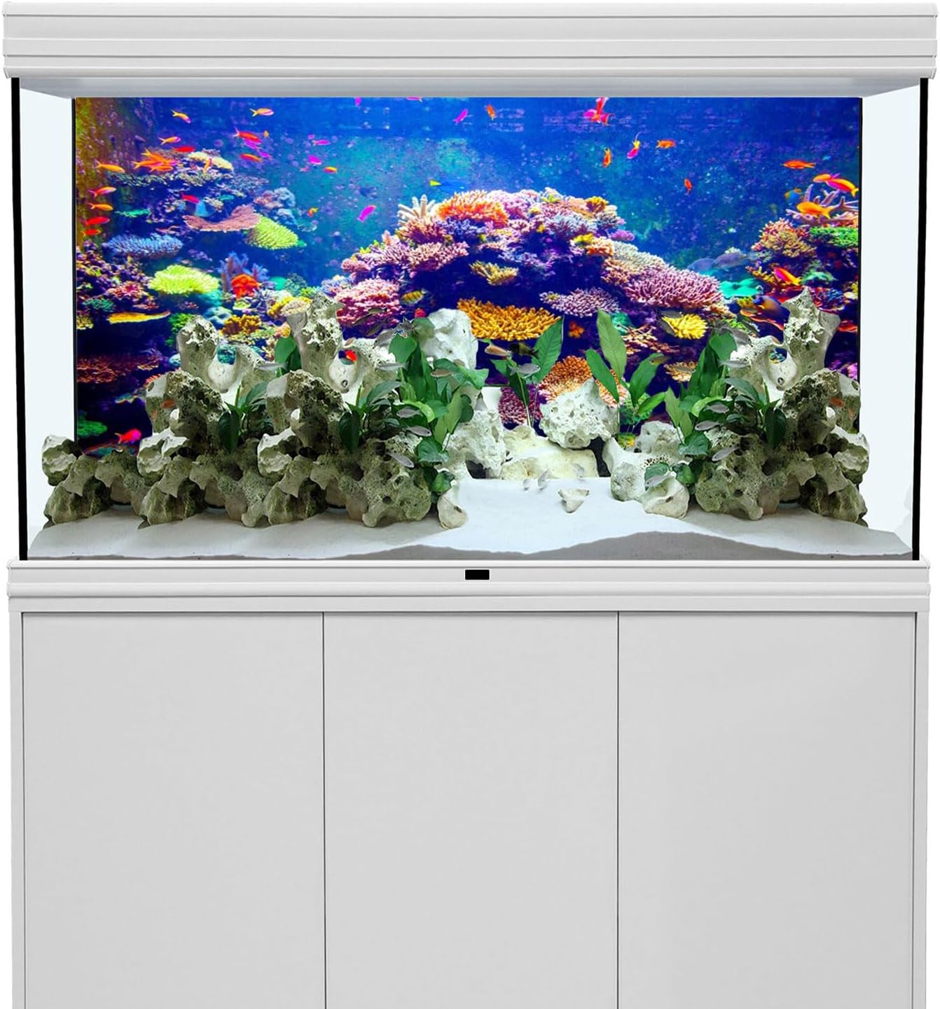 Undersea Aquarium Background 24x16 in Coral Tropical Fish Tank Backdrop image 4