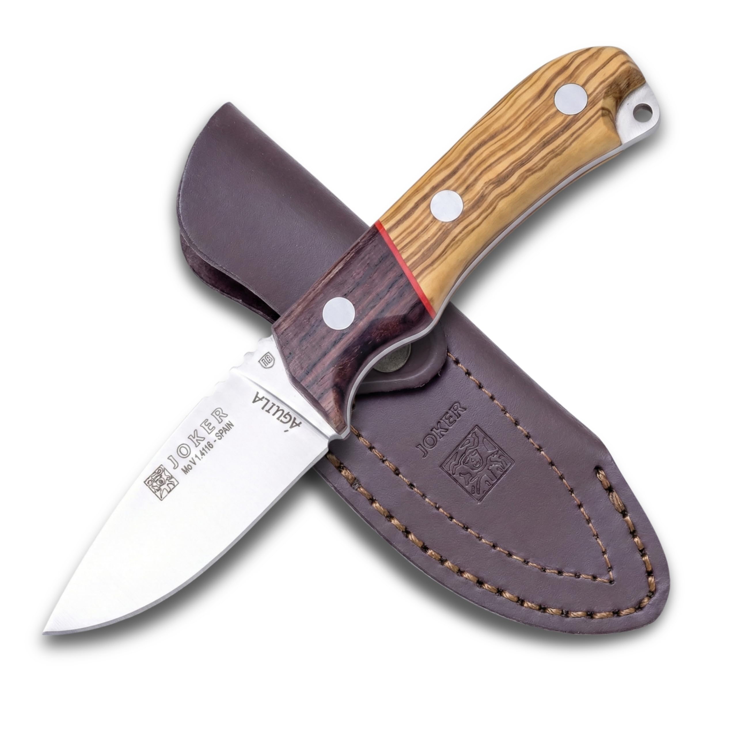 joker Coltello da caccia Aquila, con polsino in legno d'ulivo, lama MOVA 8,5 cm, include astuccio in pelle, palo santo ferrule, CO103 per attività di Pesca, l'Escursionismo, Il Campeggio