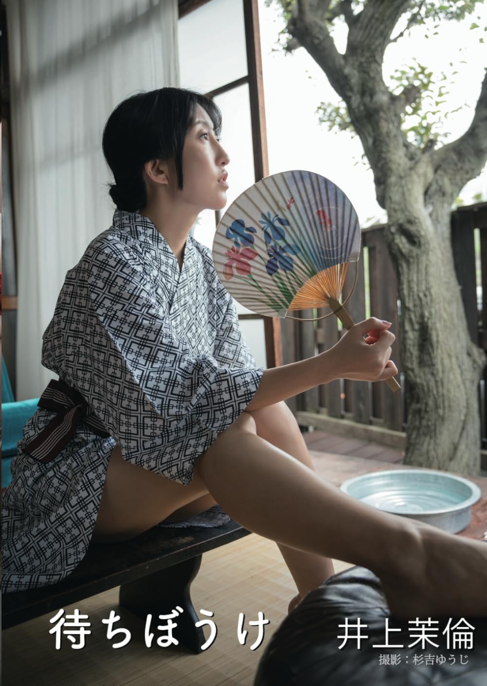 Livre photo Marin Inoue Machibouke pour collectionner les raretés artistiques japonaises