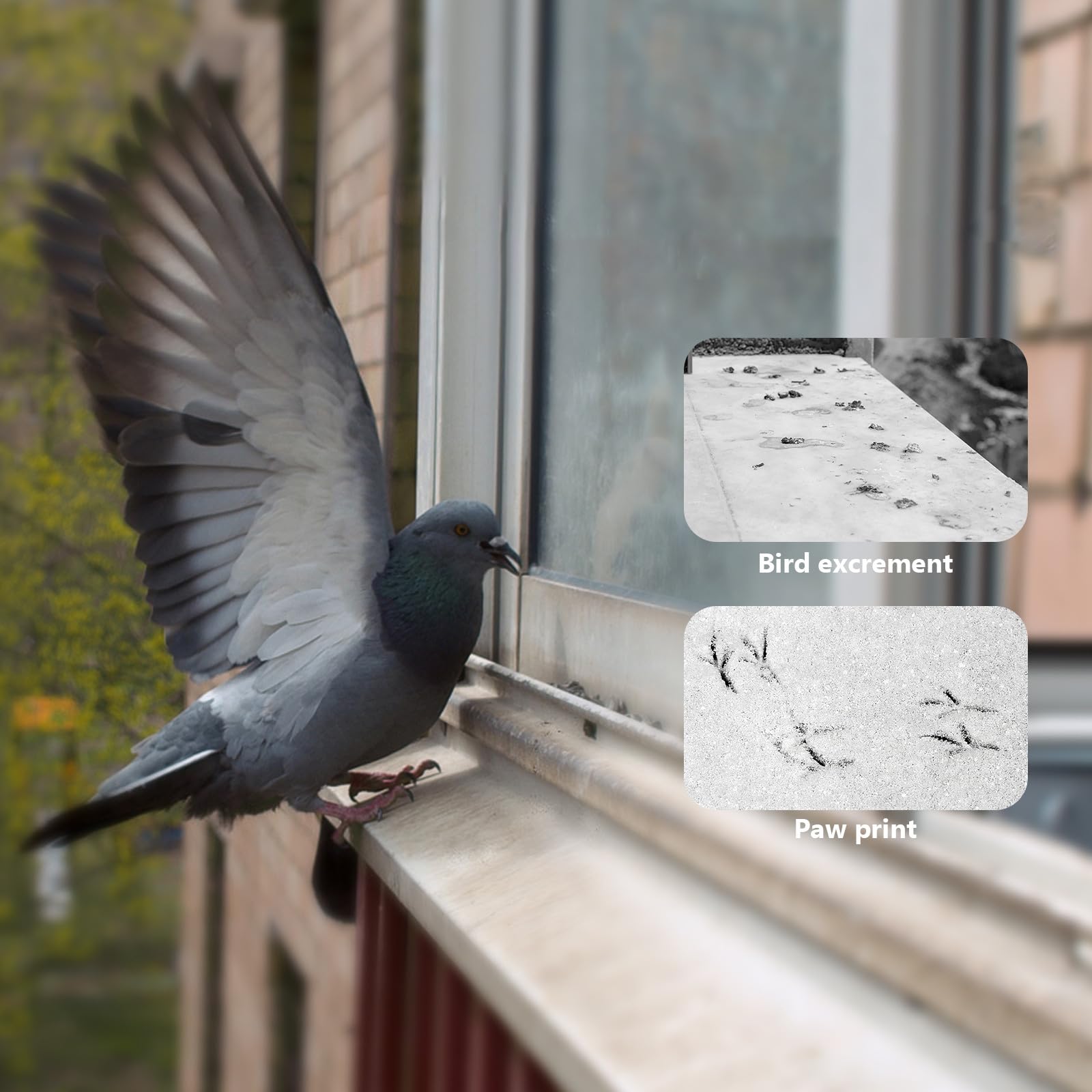 Alasum Dissuasori per Piccioni in Plastica 10 Set per Recinzioni e Superfici Curve Anti Uccelli Sicuri e Facili da Installare per Giardino e Balcone